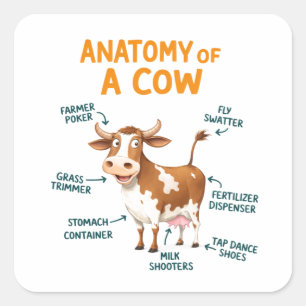 Sticker Carré Anatomie d'une vache Drôle de journée du médecin