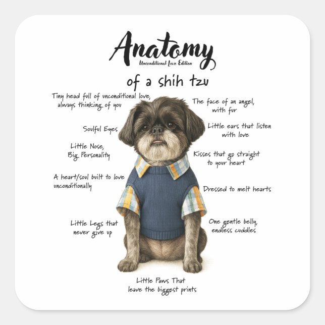 Sticker Carré Anatomy of a Shihtzu Unconditional Love Edition  (Devant)