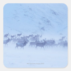 Sticker Carré Angleterre