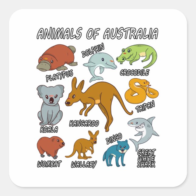 Sticker Carré Animaux D'Australie (Devant)
