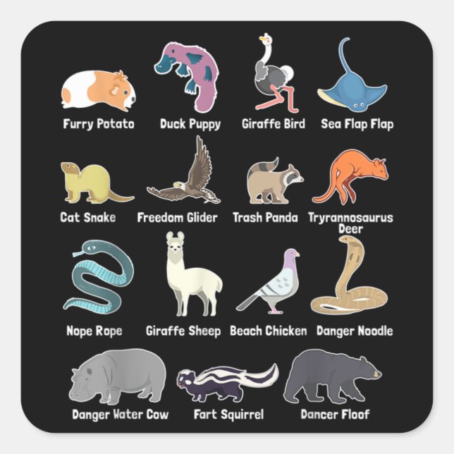 Sticker Carré Animaux Du Monde - Animaux Exotiques Rares M Drôle (Devant)