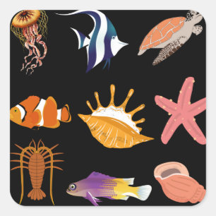 Sticker Carré Animaux marins : poissons, tortues, coquillages, m