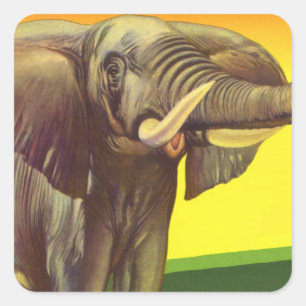 Sticker Carré Animaux sauvages vintages, éléphant africain au co