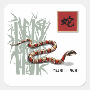 Sticker Carré Année chinoise du serpent