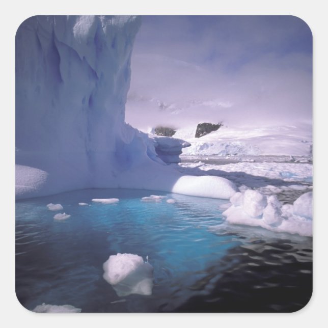 Sticker Carré Antarctique. Glaces antarctiques 2 (Devant)