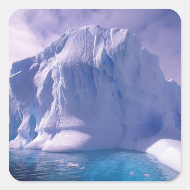 Sticker Carré Antarctique. Sauvages de glace antarctique (Devant)