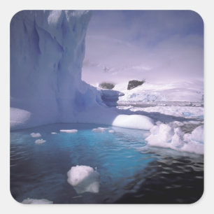Sticker Carré Antarctique. Sévices de l'Antarctique 2