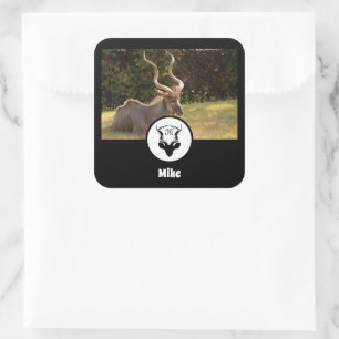 Sticker Carré Antelope Silhouette Nom Balise Photo