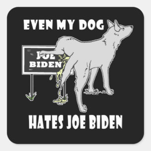 Sticker Carré Anti Joe Biden Mon Chien déteste Biden Humour poli