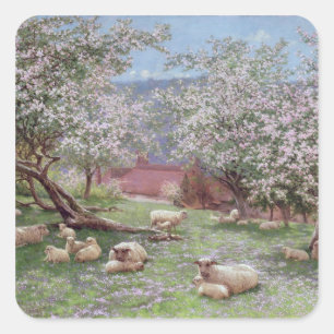 Sticker Carré Appleblossom