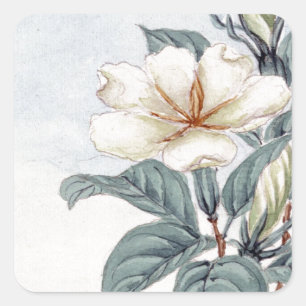 Sticker Carré Aquarelle blanc Jasmine