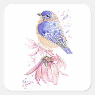 Sticker Carré Aquarelle Bluebird Blue Bird Art pour