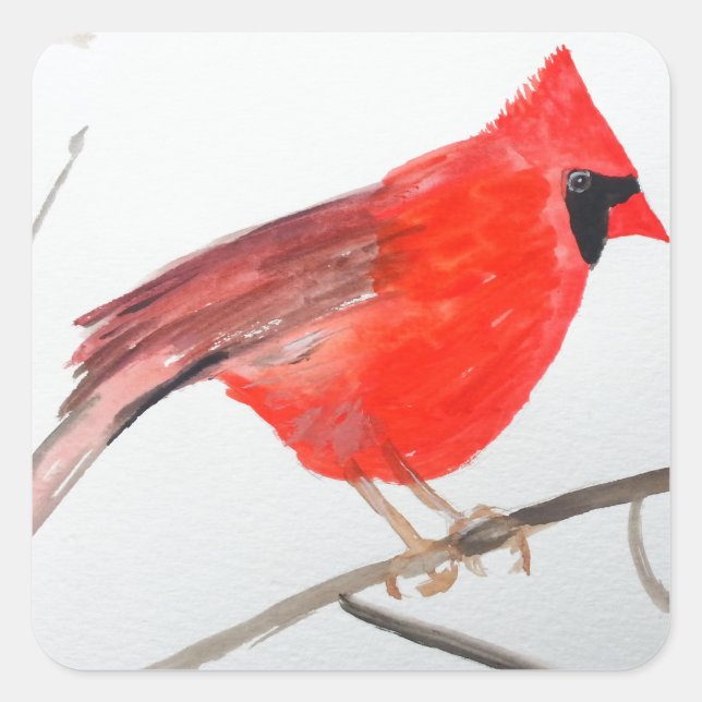 Sticker Carré Aquarelle cardinale nordique (Devant)