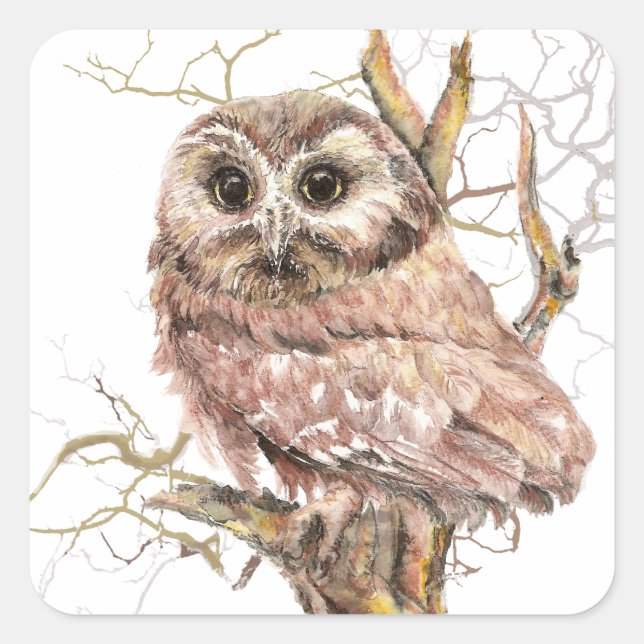 Sticker Carré Aquarelle Cute Saw Whet Owen, Bird (Devant)