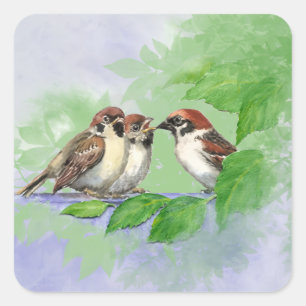 Sticker Carré Aquarelle de l'oiseau mère nourrissant ses jeunes 