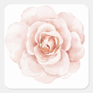 Sticker Carré Aquarelle Élégante Florale Romantique Teinte Rose