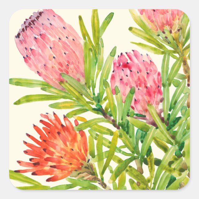 Sticker Carré Aquarelle Fleurs tropicales (Devant)