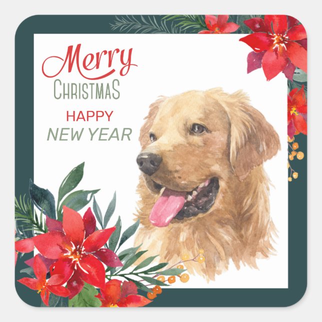 Sticker Carré Aquarelle Golden Retriever Poinsettia Bouquet (Devant)