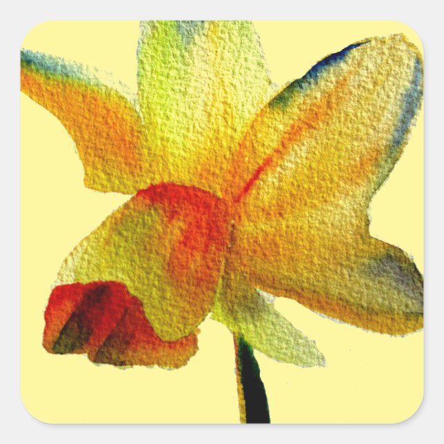 Sticker Carré Aquarelle jonquille jaune art Fleur de printemps (Devant)