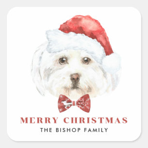 Sticker Carré Aquarelle mignonne Maltese Santa Hat Joyeux Noël