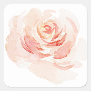 Sticker Carré Aquarelle rose pâle Élégant romantique
