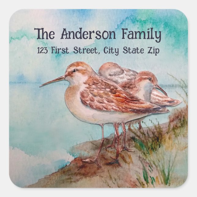 Sticker Carré Aquarelle Sandpiper Eau Oiseau Nature Art (Devant)