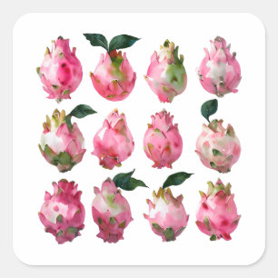 Sticker Carré Aquarelle Tropicale Pitaya