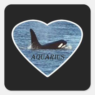 Sticker Carré Aquarius Baleine Orca Personnalisable Personnalisé