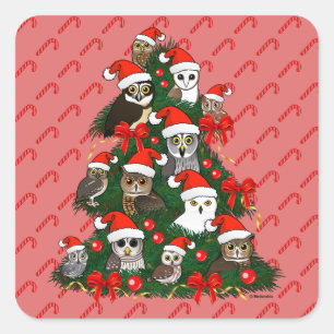 Sticker Carré Arbre de Noël de hiboux
