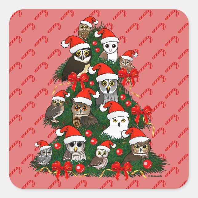 Sticker Carré Arbre de Noël des Chouettes (Devant)