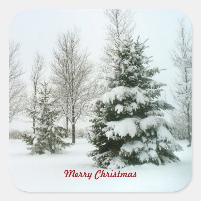 Sticker Carré Arbres à neige, Joyeux Noël (Devant)