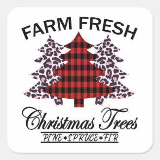 Sticker Carré Arbres de Noël frais de ferme