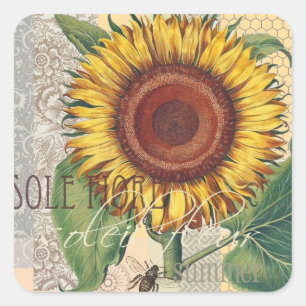 Sticker Carré Art de fleur de damas vintage tournesol