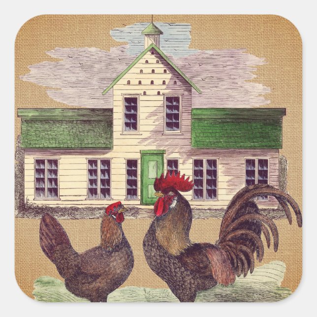 Sticker Carré Art populaire Farmyard Poulets Conception rustique (Devant)