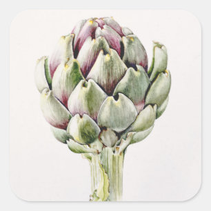 Sticker Carré Artichoke Study 1993