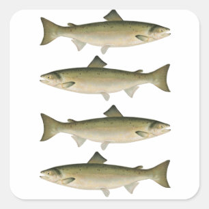 Sticker Carré Atlantique Saumon Fishing Adventure