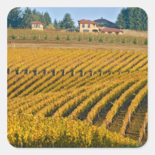 Sticker Carré Auberge Black Walnut de style toscan surplombant