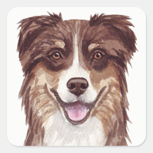 Sticker Carré  Aussie Puppy Dog Watercolor Australian Shepherd  