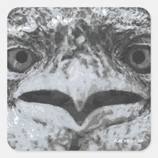 Sticker Carré Australia Wildlife, Nature's Curmudgeon, Animal