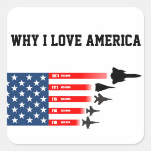 Sticker Carré Avion de chasse USA : Raisons d'aimer l'Amérique