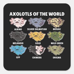 Sticker Carré Axolotls Du Monde Sweet Animaux Axolotl Squa
