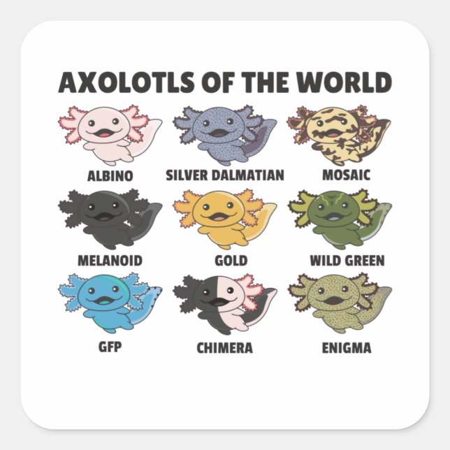 Sticker Carré Axolotls Du Monde Sweet Animaux Axolotl Squa (Devant)