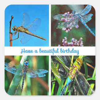 Sticker Carré Ayez un joyeux anniversaire Artistic Libellule