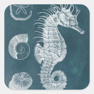 Sticker Carré Azure Seahorse Study I