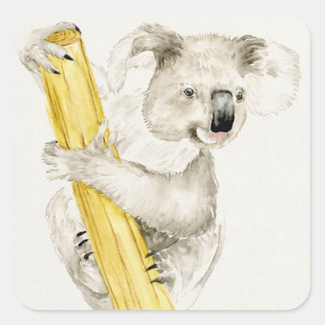 Sticker Carré Baby Koala | Cute & Furry (Devant)