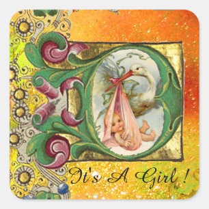 STICKER CARRÉ BABY SHOWER DE FILLE EN STORK PARCHEMENT FLORAL EN