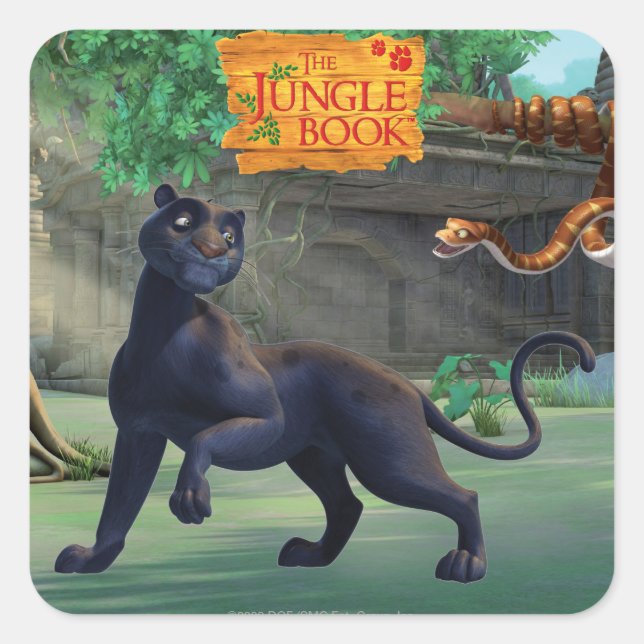 Sticker Carré Bagheera 3 (Devant)