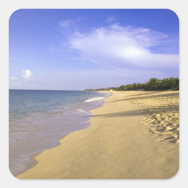 Sticker Carré Baie Longue Long Bay Beach, St. Martin, (Devant)