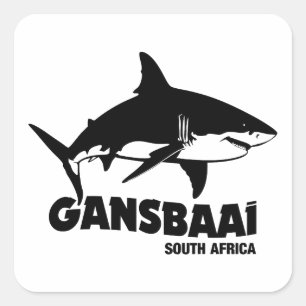 Sticker Carré Baignade avec de grands requins blancs - Gansbaai 