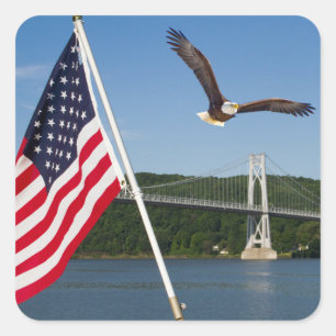 Sticker Carré Bald Eagle (American Pride)